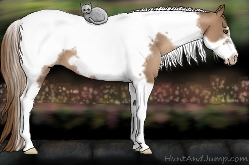 Horse Color:Liver Chestnut Pearl Tobiano Frame 