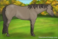 Horse Color:Smoky Grullo 