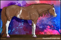 Horse Color:White Spotted Chestnut Sabino
