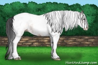 Horse Color:White Spotted Bay Tobiano Rabicano 