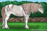 Horse Color:Brown Dun Splash Blanket 