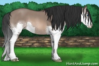 Horse Color:Brown Roan Dun Splash