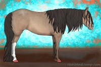 Horse Color:Sable Champagne 