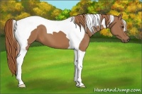 Horse Color:Chestnut Tobiano 