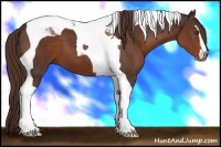 Horse Color:Liver Chestnut Sabino Tobiano 