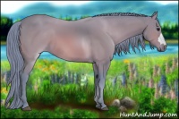 Horse Color:Watercolor Bay 