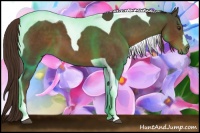 Horse Color:Liver Chestnut Tobiano 