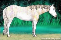 Horse Color:Palomino Ice Splash 