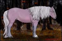 Horse Color:Watercolor Silver Bay