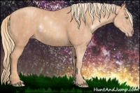 Horse Color:Gold Champagne Brindle