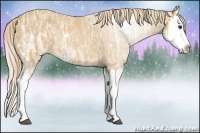Horse Color:Palomino Ice Splash 