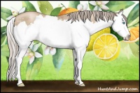 Horse Color:Chocolate Palomino Pearl Splash 