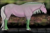 Horse Color:Watercolor Silver Bay