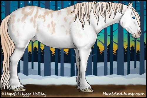 Horse Color:Red Roan Splash Appaloosa 