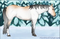 Horse Color:Gray Buckskin Rabicano 