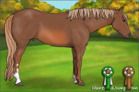 Horse Color:Liver Chestnut Sabino