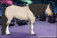 Horse Color:Bay Roan Dun Tobiano 