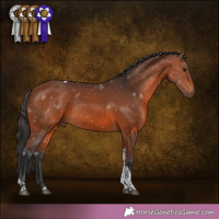 Horse Color:Bay Tobiano 