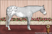Horse Color:Smoky Blue Roan Frame Appaloosa 