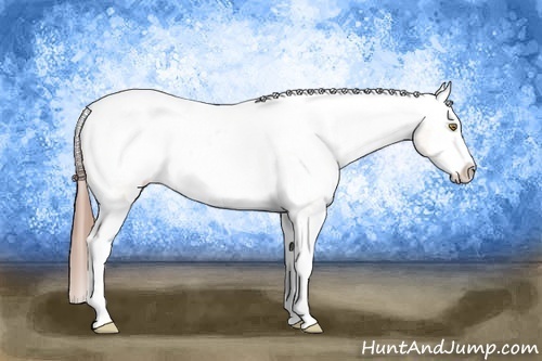 Horse Color: Amber Champagne Splash Snowcap 
