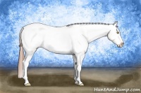 Horse Color:Amber Champagne Splash Snowcap 