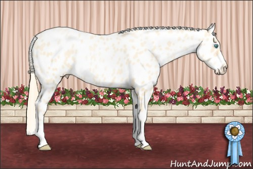 Horse Color: Buckskin Pearl Near Leopard 