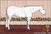 Horse Color:Buckskin Dun Splash Near Leopard 