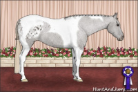 Horse Color:Smoky Grullo Tobiano Blanket 