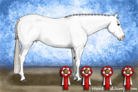 Horse Color:Smoky Black Fewspot 