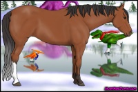 Horse Color:Bay 