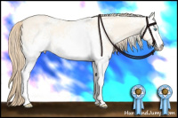 Horse Color:White Spotted Perlino Dun 