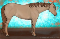 Horse Color:Red Dun 