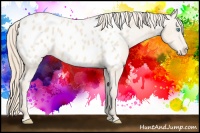 Horse Color:Perlino Blanket 