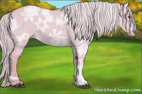 Horse Color:Watercolor Palomino Ice Roan Dun 