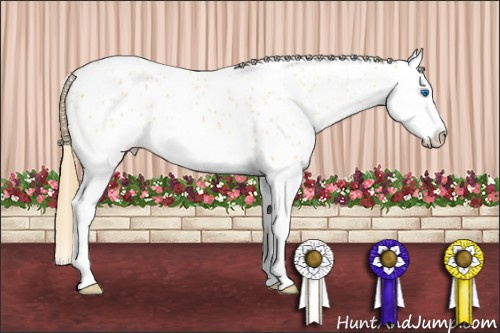 Horse Color: Buckskin Roan Dun Sabino Splash Near Leopard 