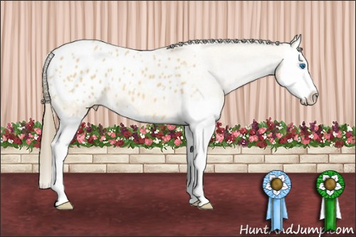 Horse Color: Buckskin Roan Splash Blanket 