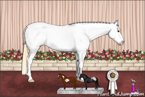 Horse Color: Buckskin Roan Dun Sabino Frame Near Leopard 