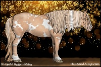 Horse Color:White Spotted Gold Champagne 