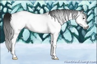 Horse Color:Gray White Spotted Brown