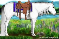 Horse Color:Gray White Spotted Buckskin Splash Frame 