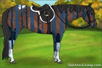 Horse Color:Bay Tobiano 