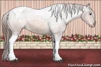 Horse Color:Bay Tobiano Varnish 