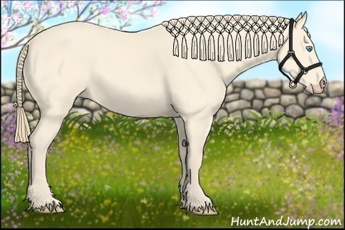 Horse Color:Perlino 