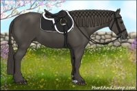 Horse Color:Smoky Black 