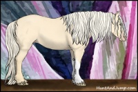 Horse Color:Gold Cream Champagne Dun