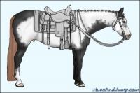 Horse Color:Liver Chestnut Frame 