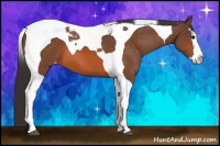 Horse Color:Bay Splash Tobiano Blanket 
