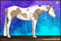 Horse Color:Buckskin Dun Splash Tobiano 