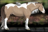 Horse Color:Classic Champagne Splash Tobiano 