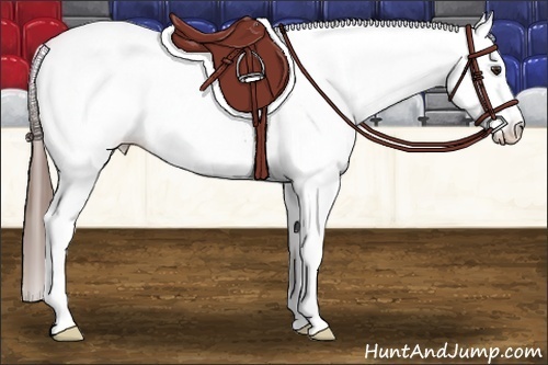 Horse Color: Liver Chestnut Tobiano Fewspot 